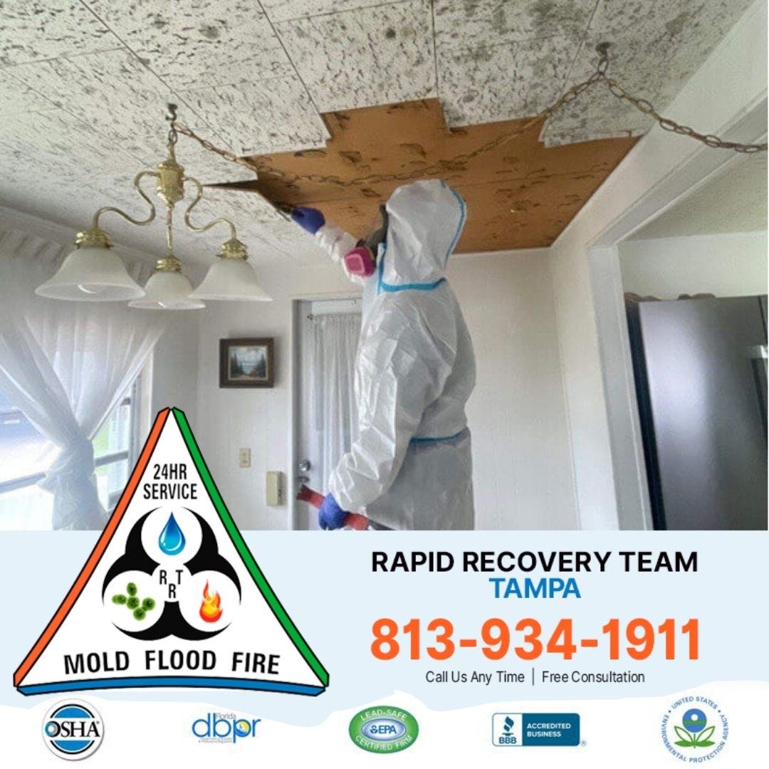 Roof Leak Repair Tampa, Mold Removal Tampa FL, and Damage Restoration Services Florida — Why You Can Trust the Experts at Rapid Recovery Team Tampa | by Rapid Recovery Team Tampa | Oct, 2025 | Medium