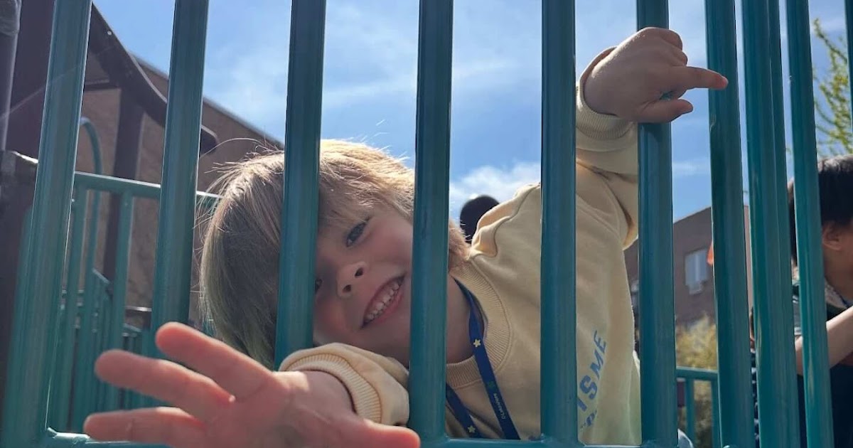 Discovering the Right Start: Brooklyn PreSchool of Science and the Best Preschool Education Program NY