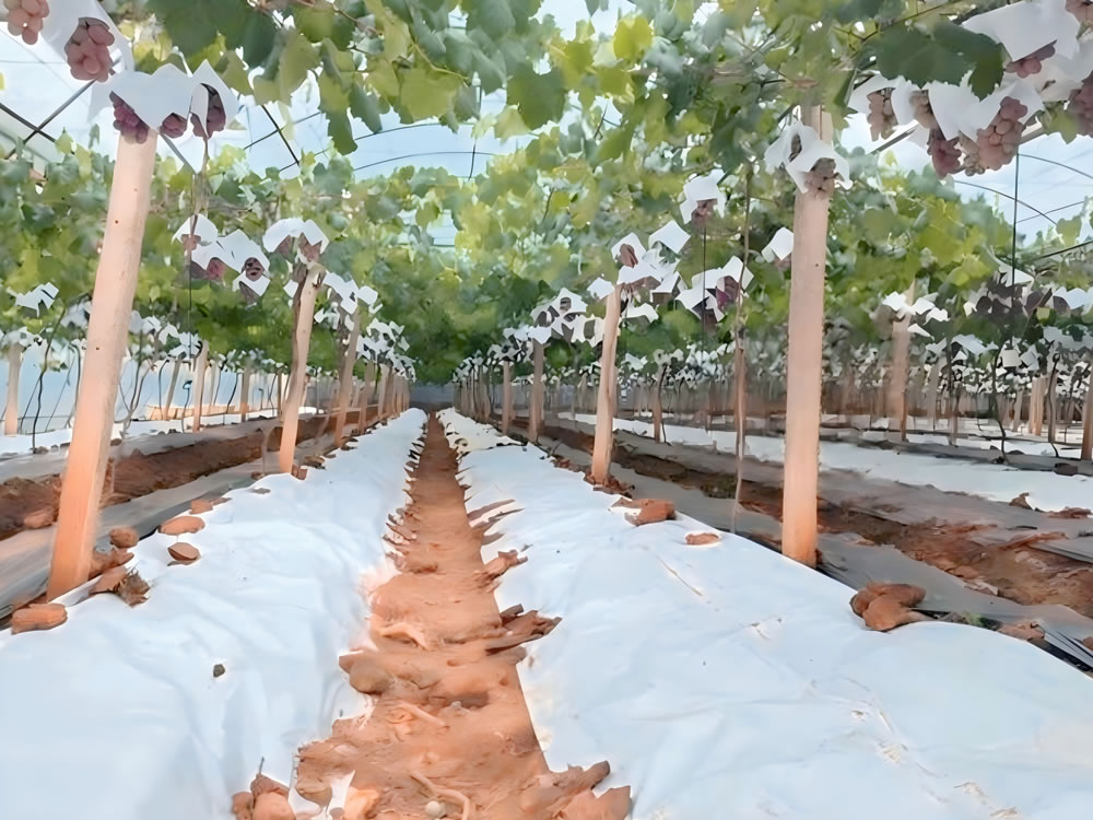 agriculture crop protection with BanShan Materials