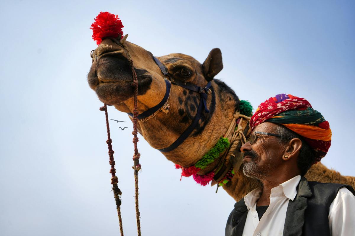 Which Is the Best Place to Visit Now in North India? 2025–26 Edition – Trans India Holiday – Best Value Tours in India