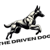 Working Breed Dog Training for Strong Obedience – The Driven Dog