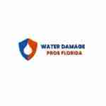 Water Damage Pros FL Pros FL