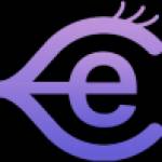 Essay Eye