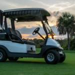 Golf Cart Gears