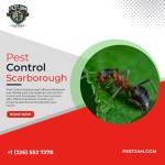 Pest jam