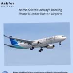 Copa Airlines Booking Phone Number Houston Airport