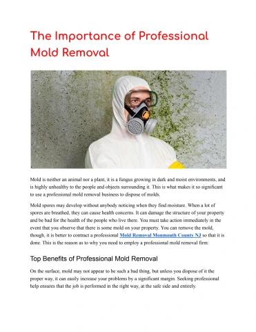 The Importance of Professional Mold Removal (1)