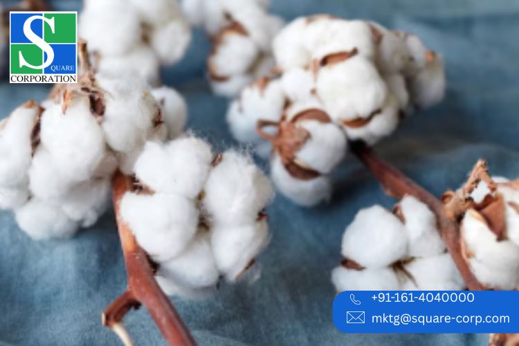 India Leading Fabric Manufacturers for B2B Buyers