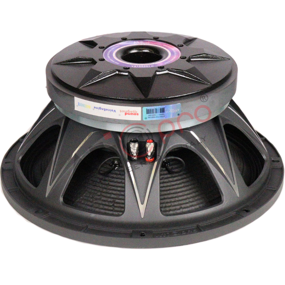 High Power Ferrite DJ Speaker 15 Inch 1500 Watt YX15X451 II