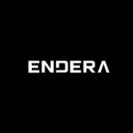 Endera Motors