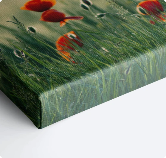 Transform Your Memories Into Stunning Wall Art | by Print Point | Oct, 2025 | Medium