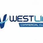 westlink cleaning services