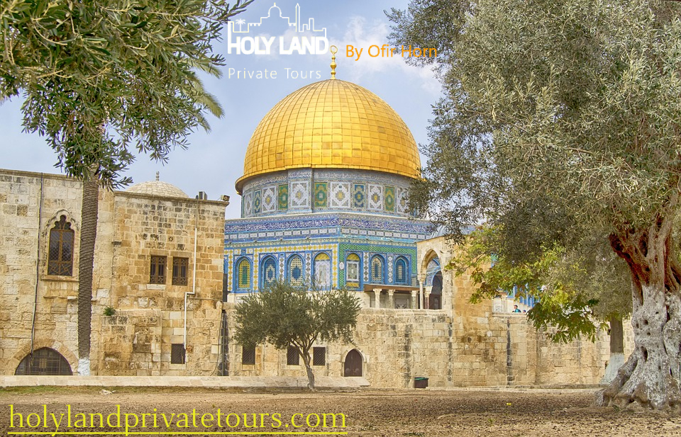 Discover Israel Like Never Before with Holy Land Private Tours – Holy Land Private Tours