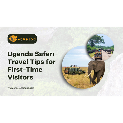 Uganda Safari Travel Tips for First-Time Visitors