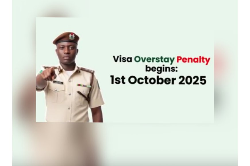 Nigeria Cracks Down on Visa Overstayers Starting Oct. 1, 2025 - The Beagle Online - One of the Leading Community News Agency in South-South Nigeria.