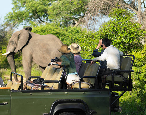 2025-26 Wildlife of Central India: Ultimate Tigers, Birds & Safari Guide – India Safaris