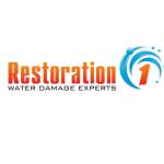 Restoration 1 of Mount Pocono
