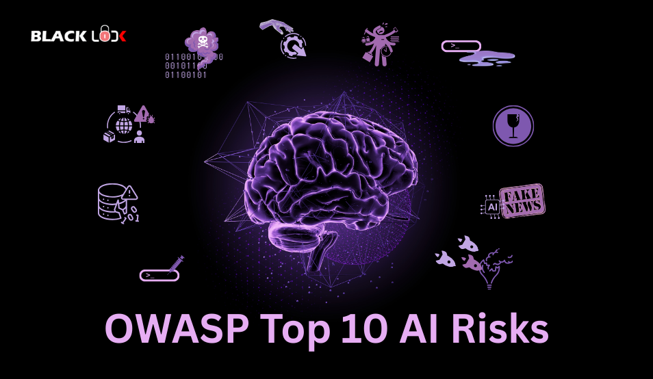 PTaaS, Penetration Testing as a Service Company in NZ & Aus | BlackLock