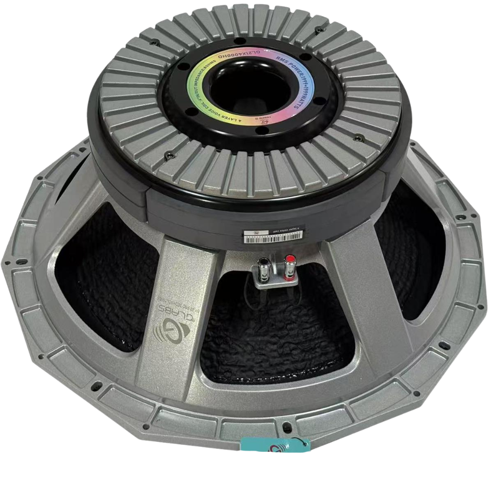 Powerful 21 Inch DJ Speaker GL21X4000HD