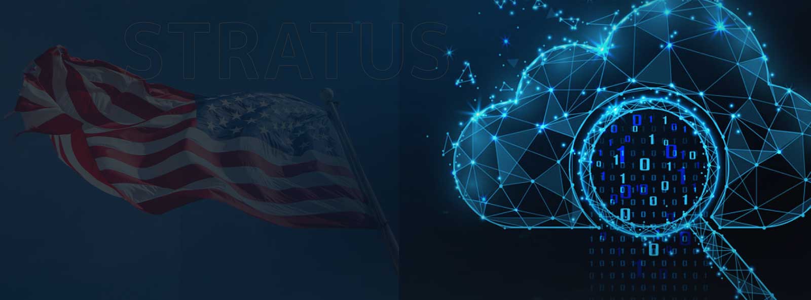 Federal Hardware & Software Solutions | Stratus99