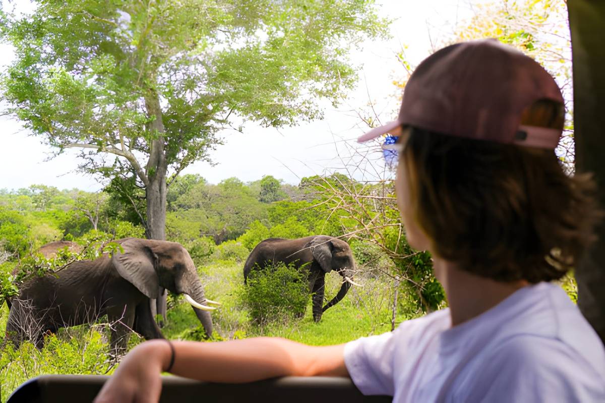 Explore the Top Wildlife Destinations for Your Next Adventure in 2026 – India Safaris