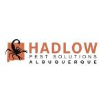 Hadlow Pest Solutions Albuquerque