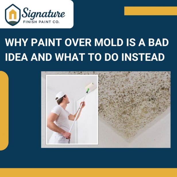 Why Paint Over Mold Is a Bad Idea and What to Do Instead Article - ArticleTed -  News and Articles