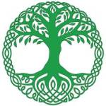 Stellar Tree Services