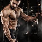 ShirleyBronson ShirleyBronson