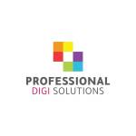 Professional Digi Slutions