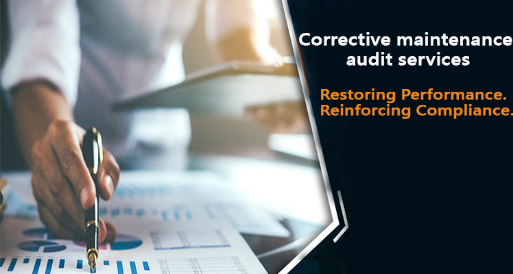 Expert IT Networking preventive and corrective Maintenance and audit Services expert consultant in Delhi India