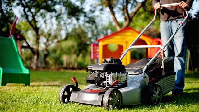 Same day lawn mowing | Lawn mowing services near me
