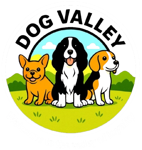 Home - Dog Valley