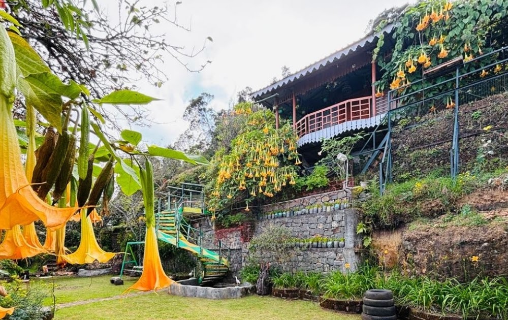 Experience the Charm of the Hills: Best Resorts in Kodaikanal