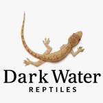 Back Water Reptiles