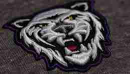 Russian escorts in delhi