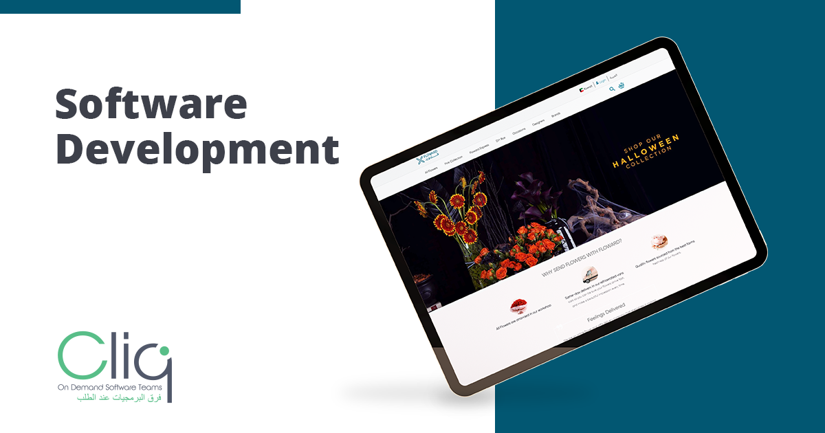 Software Development Kuwait | Custom Software Development