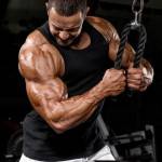 ManuelHeldty ManuelHeldty