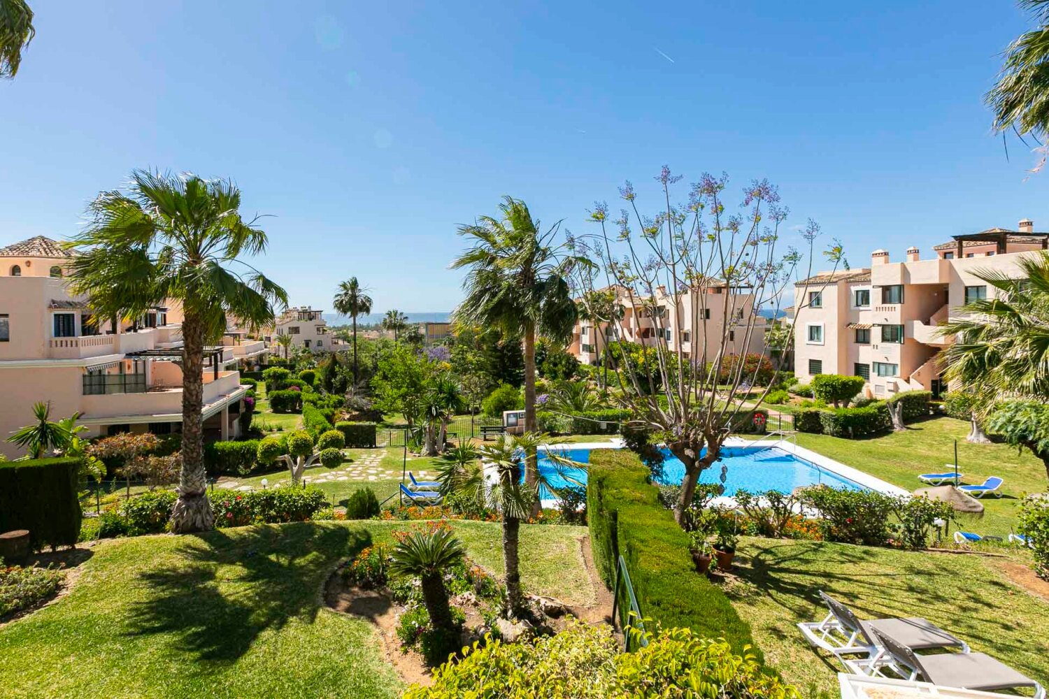 Luxury Elviria Apartments for Rent: Your Perfect Escape in Serenity - Diginewsfeed