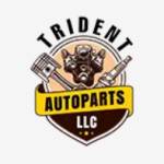 tridentautoparts