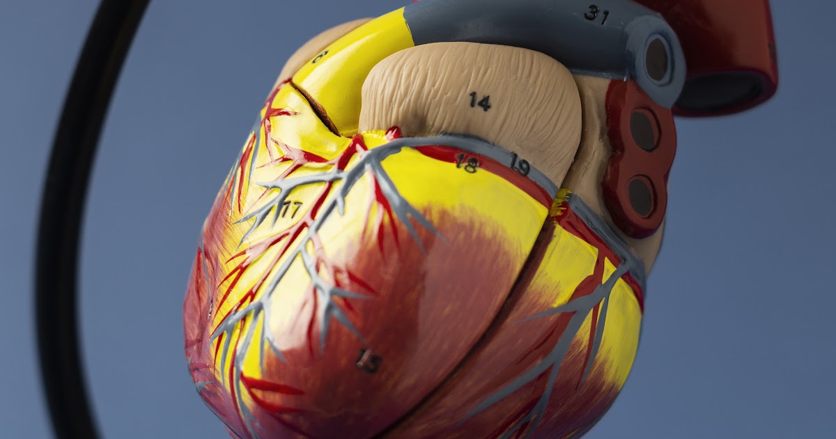 Implantable Cardioverter-Defibrillator (ICD) Implant Surgery — A Comprehensive Guide