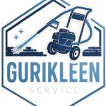 Gurikleen Mobile Car Detailing