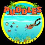 Puddles Restoration