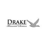 Drake Financial Services Cashflow accountants