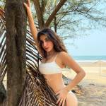 Hotel Escorts in Jaipur