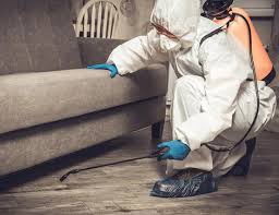 Pest Control Innisfil | Trusted Local Extermination Services
