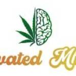 Weed Store Near Me Hamilton