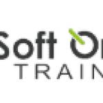 softonline Training