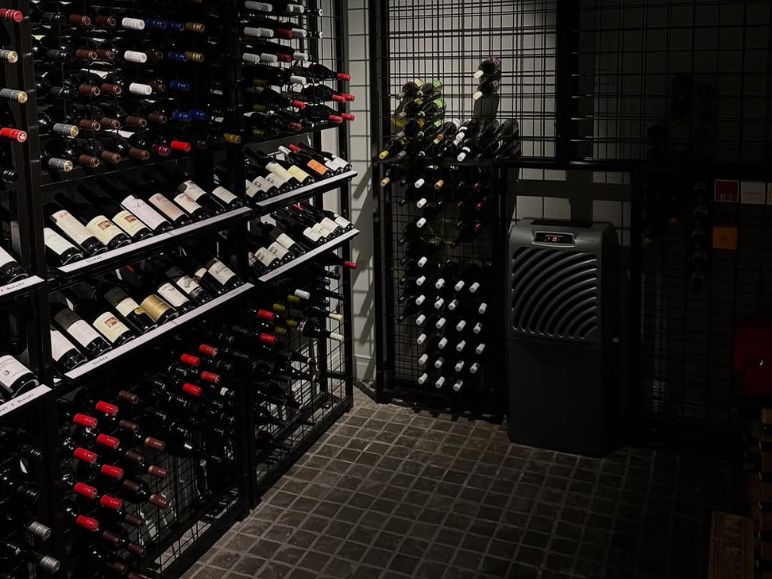 Wine Cellar Temperature: 7 Essential Facts Collectors Need