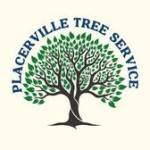 Placerville treeservices